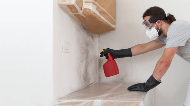 Professional Mold Inspection And Testing technician working in Quincy, MI